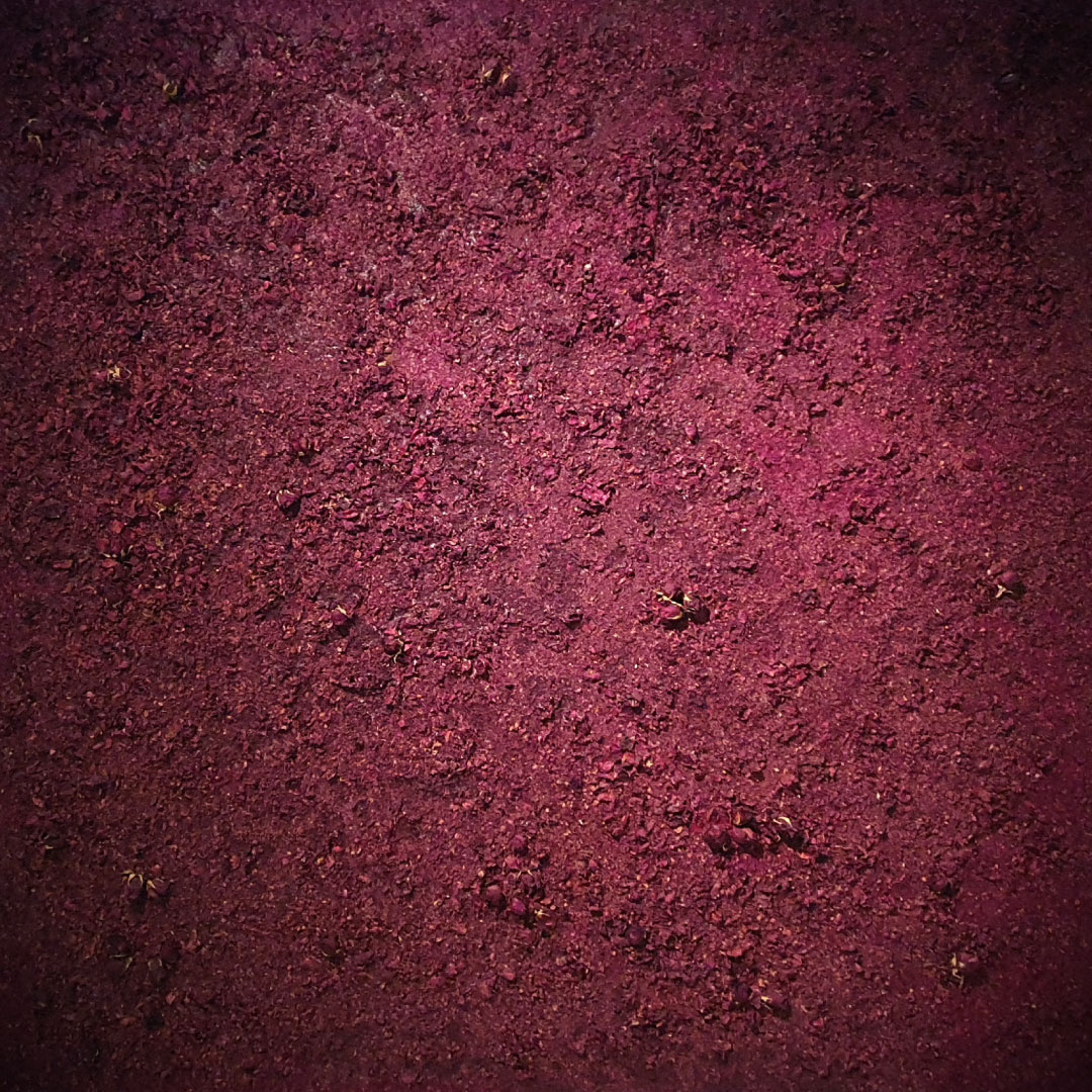 20260109_111536Edit