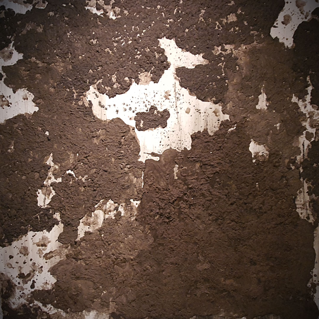 20260109_111551Edit